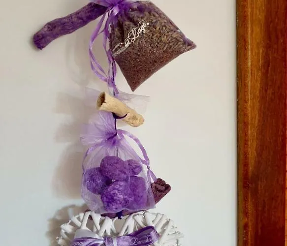 Tenerife سان ميغيل ذي أبونا