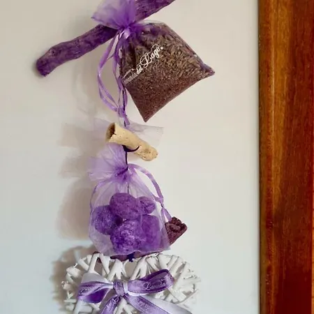 Tenerife San Miguel de Abona